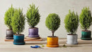 Le Creuset Stoneware Herb Planter, 5.5 Inches, Deep Teal by GreenHaven Gardens