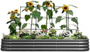 KING BIRD Raised Garden Bed with Wall Trellis Galvanized Planter Garden Box Outdoor for Gardening, Climbing Vegetables, Flowers 7.87x3.94x0.98 Ft, Dark Grey by GreenHaven Gardens