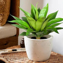 Artificial Agave Plants,Large UV Resistant Fake Agave Planters for Indoor and Outdoor Decorating Artificial Plants for Outdoors Plants(2Pack, 22") by GreenHaven Gardens