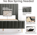 Livinia Queen Size Elton Velvet Platform Bed, Upholstered Bed Frame with Vertical Channel Tufted Headboard Footboard, Strong Wood Slats, No Box Spring Needed, Gray (Queen) by CozyNest Decor