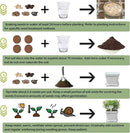10 Herb Seeds Garden Starter Grow Kit with White Pots, Markers, Nutritional Soil, Watering, Herb Clipper, Complete Indoor Potted Plant Growing Set for Kitchen DIY by GreenHaven Gardens
