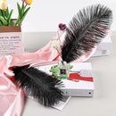 THARAHT Black Ostrich Feathers 12pcs Natural Bulk 10-12Inch 25cm-30cm for Crafts Wedding Party Centerpieces Halloween and Home Decoration Feathers