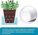 D'vine Dev 4 Inch Design Self Watering Planter for Indoor Plants, White Terracotta Pots with Cylinder Glass Cup, Set of 2, 37-Y-A-2 by GreenHaven Gardens