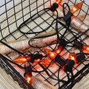 27.8Ft Halloween Decorations Flickering Flame String Lights with 27 Pack Orange Clear Flame Light Bulbs (4 Spare E12 Bulbs), Orange Christmas Lights Outdoor for Home Party Christmas Halloween Decor by GreenHaven Gardens