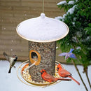 Bird Feeder for Outdoor, Metal Wild Bird Feeder Hanging Outside, 7.5" Copper Roof and 360 Degree Feeding Tray with 2 Extra Feeding Ports, 3 Lbs Bird Seeds Capacity by CozyNest Decor