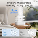 Dreo Humidifiers for Bedroom, 4L Top Fill for Large Room, 36H Runtime, 28 dB Quiet Supersized Cool Mist Air Humidifier for Baby Nursery, Plants, Indoor, Night Light, Easy to Clean & Fill by TinyTreasures Baby Boutique