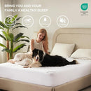 BEDLORE 2 Pack Waterproof Mattress Protector, King Size Mattress Pad with Deep Pocket Fitted Up to 6-18 inches, Soft Noiseless Single Bed Mattress Cover for Bedroom, Dorm Room (White) by TinyTreasures Baby Boutique