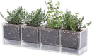 4 Inch Herb Planter Pot, Plastic Planter with Drainage Holes and Saucer, Modern Decorative Gardening Pot for Indoor Plants, Flowers, Herbs, Succulents, Clear, Set of 4, 76-Y-D-4 by GreenHaven Gardens