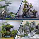 Dragon Stone Aquarium Rock Seiryu Stone for Aquariums, Fish Tanks, Bonsai, Terrariums, Wargaming Dioramas, Indoor or Outdoor Gardens-40Lb(2-10 Inch) by CozyNest Decor