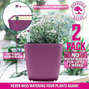 GARDENIX DECOR 5" Self Watering pots for Indoor Plants - Flower Pot with Water Level Indicator for Plants, Grow Tracking Tool - Self Watering Planter Plant Pot – 2 Pack Purple by GreenHaven Gardens