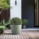 Kante 14 Inch Dia Round Concrete Planter, Indoor Outdoor Large Plant Pot with Drainage Hole and Rubber Plug for Home Patio Garden, Mint Green by GreenHaven Gardens