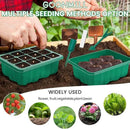 Seed Starter Tray with Grow Light, 5 Packs Plant Starter Tray Seedling Starter Kit with Humidity Domes Base Indoor Greenhouse Mini Propagator Station for Seeds Growing Starting (12 Cells per Tray) by GreenHaven Gardens