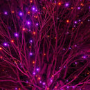 DAZZLE BRIGHT Halloween 300 LED String Lights, 100FT String Lights with 8 Lighting Modes, Halloween Decorations for Party Carnival Supplies, Outdoor Yard Garden Decor (Purple & Orange) by GreenHaven Gardens