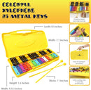 MINIARTIS Glockenspiel Xylophone | 25 Note Colorful Metal Keys Xylophone for Kids | Percussion Musical Instrument | Educational Music Toy Includes Music Songbook, Mallets and Yellow Carry Case by TinyTreasures Baby Boutique