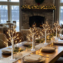 2ft Lighted Indoor & Outdoor Birch Tree by EP Designlab LLC