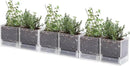 4 Inch Herb Planter Pot, Plastic Planter with Drainage Holes and Saucer, Modern Decorative Gardening Pot for Indoor Plants, Flowers, Herbs, Succulents, Clear, Set of 6, 76-Y-D-6 by GreenHaven Gardens