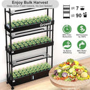 Growell Large Hydroponics Growing System Kit, 90 Pods Vertical Hydroponic Garden with 2 Light Modes Grow Light, Auto Circulating Water System, 40L Indoor Gardening System for Herb Vegetable Fruit by GreenHaven Gardens