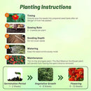 Outsidepride Red Torch Mexican Sunflower Seeds - 1000 Seeds Annual Tithonia, Fast-Growing, Heat & Drought-Tolerant Flower Seeds for Pollinator Gardens, Landscapes, & Flower Arrangements (AAS Winner) by GreenHaven Gardens