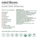 Fresh N’ Clean 2-in-1 Hair + Body Wash | Shampoo Sulfate-Free | Baby & Kid Safe | Gently Cleanses Head to Toe w/Aloe leaf, Chamomile extract, Lavender & Botanicals 16.6 oz by TinyTreasures Baby Boutique