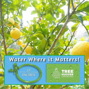 Tree Sprinkler with 360° Outward Direction | Water Sprinkler for Trees That Reaches The Nutrition Zone for Tree Root Watering (15") by GreenHaven Gardens