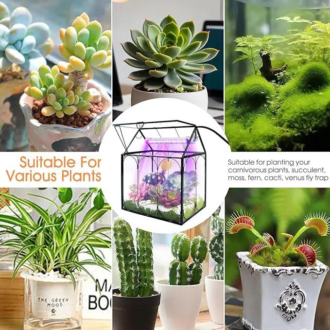 Plant Terrarium with Grow Light, Rifny Indoor House Shape Glass Terrarium Kit with Lid, Small Terrarium Jar Planter for Venus Fly Trap Succulent Live Air Plants Decor for Home Office (Without Plants), photo 7 of 8