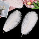 THARAHT White Ostrich Feathers 12pcs Natural Bulk 10-12Inch 25cm-30cm for Crafts Wedding Party Centerpieces Easter Gatsbi and Christmas Tree Decoration Feathers