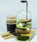 Terrarium Kit/Supplies Terrarium Plants Set with Grow Light, for Succulents Miniature Gardening, Include Terrarium jar Tool Set Live Moss Rocks Soil Driftwood and Decor, for Plant Lovers by GreenHaven Gardens