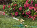 Rocky Mountain Goods Pulsating Impact Sprinkler with Metal Base - Up to 60’ Diameter Long Distance Spray for Large Yard/Garden/Large Areas - Adjustable Impact Sprinkler Head by GreenHaven Gardens