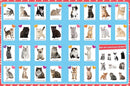 Cute Animals Poster Sticker Book - 4-Book Bundle for Kids Ages 3+, 400+ Stickers, 28 Mini Posters, 4 Giant Fold-Out Posters in 48 Full-Color Pages by TinyTreasures Baby Boutique