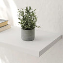 Wall Shelf Set of 2, White Floating Shelves 36 in W x 10 in D x 1 in H, Wooden Floating Wall Shelf with Invisible Brackets for Living Room/Bedroom/Bathroom/Kitchen Storage and Decor by CozyNest Decor