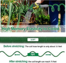 3/8" Lightweight Coil Garden Hose 75FT, EVA Flexible Curly Water Pipes with 6-Pattern Spray Nozzle for Boat, Greenhouse, Yard, Patio, Green by GreenHaven Gardens