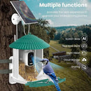 Bird Feeders for Outdoors, Smart Bird Feeder with Camera Solar Powered, AI Species Identification, 3K Video Live Stream Camera, 5Mp HD Night Vision, Instant Arrival Alerts (Light Green) by CozyNest Decor