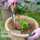 Haliaeetus Seeding Widger, Stainless Steel Garden Planting Trowel for Repotting, Long and Narrow Widger for Weeding from Tight Areas, Hand Transplanter with Wood Handle for Planting, Weeding, Digging by GreenHaven Gardens