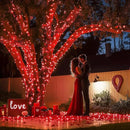 JMEXSUSS 2 Pack Red Solar Lights, Each 100 LED 33ft Valentine Solar Lights Outdoor, 8 Modes Christmas String Lights for Outside Valentine Day Tree Yard Decor by GreenHaven Gardens