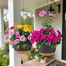 2 Pack Hanging Planters for Indoor Outdoor Plants, 12 Inch Self Watering Hanging Pot with Drainage Holes and Saucer, Plastic Plant Pots, Black Brown Flower Pots for Kitchen, Balcony, Garden by CozyNest Decor