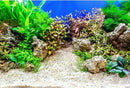 Aquarium Background Underwater Grass Leaves with Pebble Aquarium Backdrop Vivid and Fresh Green Aquatic Plant Stone River Bed and Lake Fish Tank Background Decor Vinyl 30x18in by GreenHaven Gardens