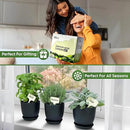 Indoor Garden Kit - Plant Pots with Drainage, Watering Can & Tools - Ideal Windowsill Planter Set - Modern Home & Kitchen Decor Gift - Black by GreenHaven Gardens