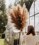 40" inch 10 Stems Pampas Grass Decor Tall, Pampas Grass Bouquet, Natural Dried Flowers for Wedding, Natural Home Decor, Wall Grass, Glam Decor by CozyNest Decor