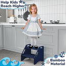 AMBIRD Wooden Step Stool, Two Step Stools Toddler 300 lbs Capacity with Safety Non-Slip Pads and Handles, Bamboo Step Stool for Bathroom, Kitchen Dual Height Step Stools for Kids (Navy Blue) by TinyTreasures Baby Boutique
