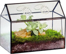 NCYP Glass Terrarium with Lid and Air Holes for Snails, Succulents Plants, Small Cactus - 10.2" x 5.9" x 8.2" House Shape Geometric Clear Box, Indoor Tabletop Decor Black (Terrarium Only) by CozyNest Decor