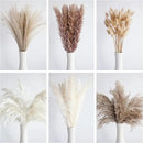 110 PCS Dried Pampas Grass Bouquet, Boho Table Decor, Bunny Tails Dried Flowers, Brown Pompas, White Pampas Grass for Wedding, Home, Rustic Party, Baby Shower Decorations by CozyNest Decor
