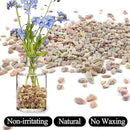 2lbs Peach Pebbles for Plants, 3/8inch Small Rocks, Natural Polished Pebbles, River Rocks for Succulent Cactus Plants, Vases, Aquariums, Gardening by GreenHaven Gardens