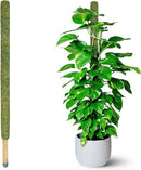DUSPRO 59’’ Large Green Mesh Moss Pole Monstera Plant Support, Tall Plant Stakes, Moss Pole for Plants Monstera, Garden Pole, Moisture Stick for Plants (1pc., 59''), Natural by GreenHaven Gardens