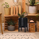 D'vine Dev Ceramic Planter with Ebony Stand - 8 Inch Modern Round Flower Pot with Wood Planter Holder, Black, 55-B-M-2 by GreenHaven Gardens