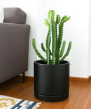 D'vine Dev 10 Inch Ceramic Planter Pot with Drainage Hole and Saucer, Indoor Cylinder Round Planter Pot, Black, 94-O-E-2 by GreenHaven Gardens