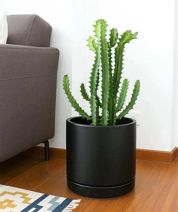 D'vine Dev Set of 2 Plants Pots, 10 Inch Ceramic Planter Pot for Plants with Drainage Hole and Saucer, Black, 94-V-E-2, photo 6 of 7