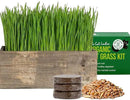 The Cat Ladies Cat Grass Kit Complete with Rustic Wood Planter, Organic Seed and Soil. Easy to Grow - Great for Indoor or Outdoor Cat, Dogs and Other Pets. Prevent Hairballs and Aid Digestion… by GreenHaven Gardens