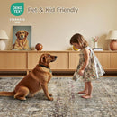 Lofus 9x12 Area Rug for Living Room,Brow Washable Large Rugs with Non-Slip Backing,Soft Neutral Carpets for Bedroom Dining Room Home Office Indoor Nursery by TinyTreasures Baby Boutique