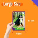 My First 120 Animals, 60PCS Realistic Zoo Animal Cards Farm/Wild/Marine Animals/Insects/Birds Flashcards Montessori & Science Educational Toys Preschool Learning for Homeschool Preschool Toddler Kids by TinyTreasures Baby Boutique