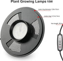 Desktop Glass Plant Terrarium with Grow Light(L7.8 W7.8 H14), for Succulent, Moss, Miniature Gardening Landscape, Betta Fish Tank, Indoor Plant Growth, Office Home Decoration (TimeControlled) by GreenHaven Gardens